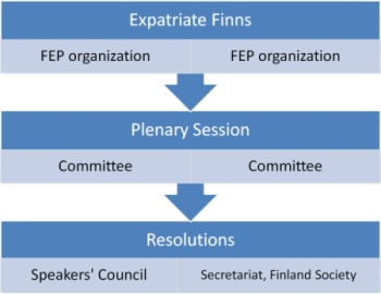 The structure of the FEP